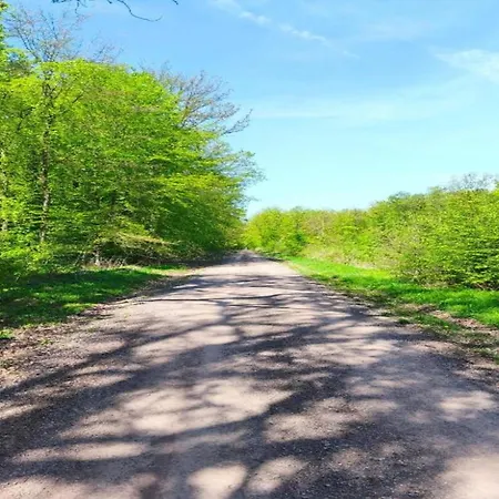 Дом отдыха Family Getaway In Dankerode (Saxony-Anhalt)