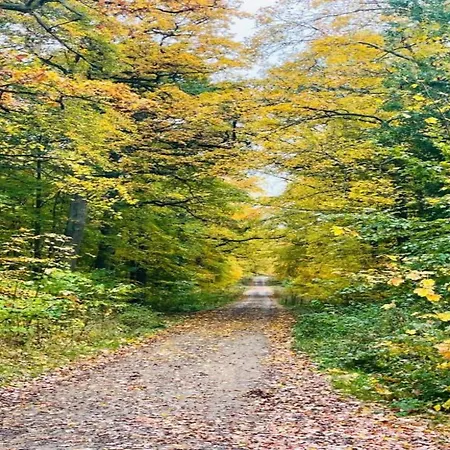 Дом отдыха Family Getaway In Dankerode (Saxony-Anhalt)